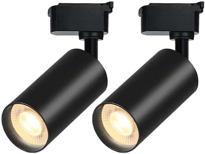 Black LED Track Lighting Heads (No Track Rails), 2-Lights 10W Dimmable Track Lights Head Suitable for H Type Rails 3000K Warm White Ceiling Spotlight Fixture for Indoor Home Commercial