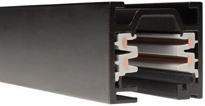 WAC Lighting WT4-RTL-BK W Track W2 120V 2-Circuit Recessed Track, 4-Feet