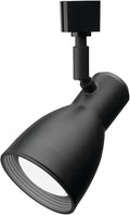 Lithonia Lighting LTHNSTBF BR20 DBL M2 Baffle Head Track Lighting, Black