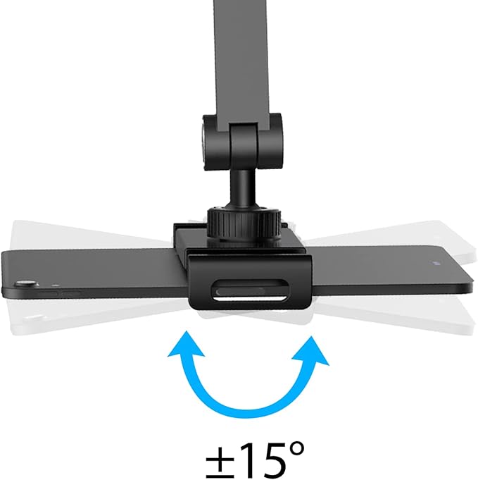 BEWISER iPad Desk Mount, Tablet Stand Holder for Desk or Bed,Rotate 360 Degrees of Flexible, Height and Angle Adjustable, Aluminium Alloy Arm Clamp Mount Compatible with4.7-15.6" Screen (Space Gray)