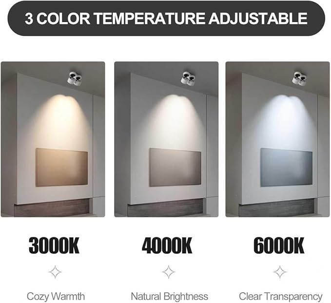 Spot Lights Indoor, Modern Art Display Accent Lights 3000-6000K Selectable, 20W Dual Head LED Spot Lights, CRI 98, 220° Directional, White Ceiling Spotlight for Kitchen, Plant, Living Room