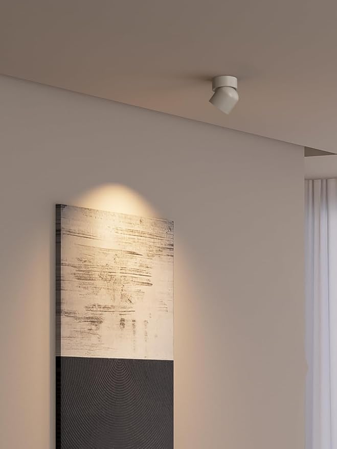 Aisilan LED Indoor White Ceiling Spot Light 7W Surface Mounted Light Fixture with 360° Pivoting Spotlight, Dimmable Warm White 3000K CRI 97+ for Living Room Bedroom