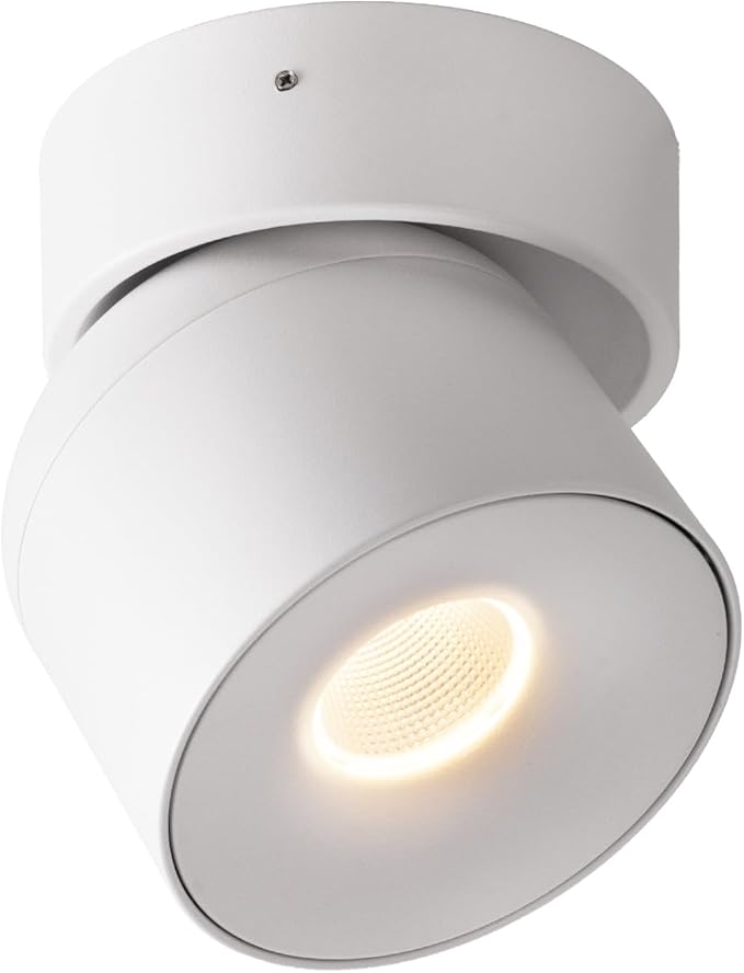 Aisilan Dimmable Ceiling Spotlight, Modern LED Wired Spotlight Indoor,15W Spot Light 350° Directional Lighting, Wall Spot Lights for Picture Panting Living Room Bedroom, 3000K CRI 97, White