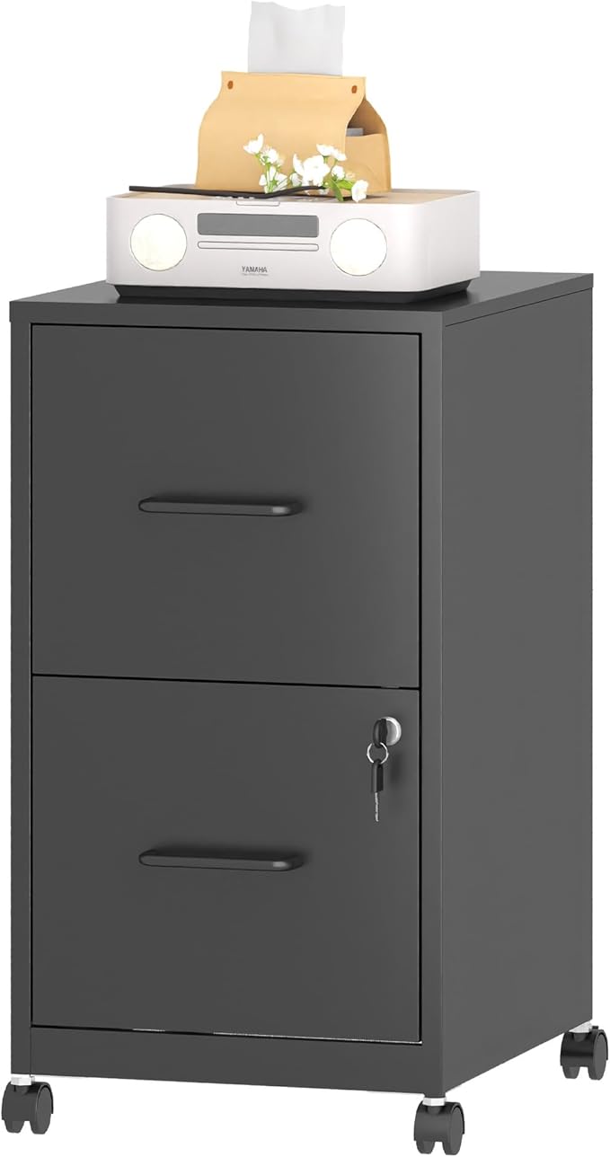 2 Drawer Mobile File Cabinet with Lock and Wheels, Small Vertical Under Desk Steel Rolling Storage Cabinet for Home Office Legal/Letter/A4 Files, Assembly Required (Black)