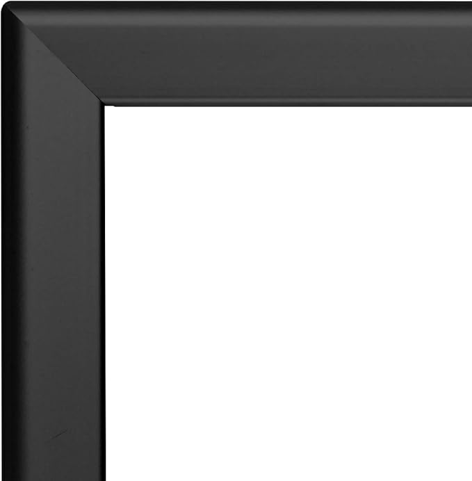 SnapeZo Black 24x26.75 Snap Frame Professional Series