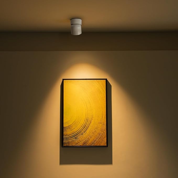 Aisilan LED White Adjustable 360° Pivoting Ceiling Spot Light Indoor, CRI 97, 7W 3000K Warm White Aluminum Directional Spotlight Lamp for Picture Painting Living Room Lighting