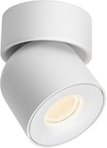 Aisilan LED White Adjustable 360° Pivoting Ceiling Spot Light Indoor, CRI 97, 7W 3000K Warm White Aluminum Directional Spotlight Lamp for Picture Painting Living Room Lighting