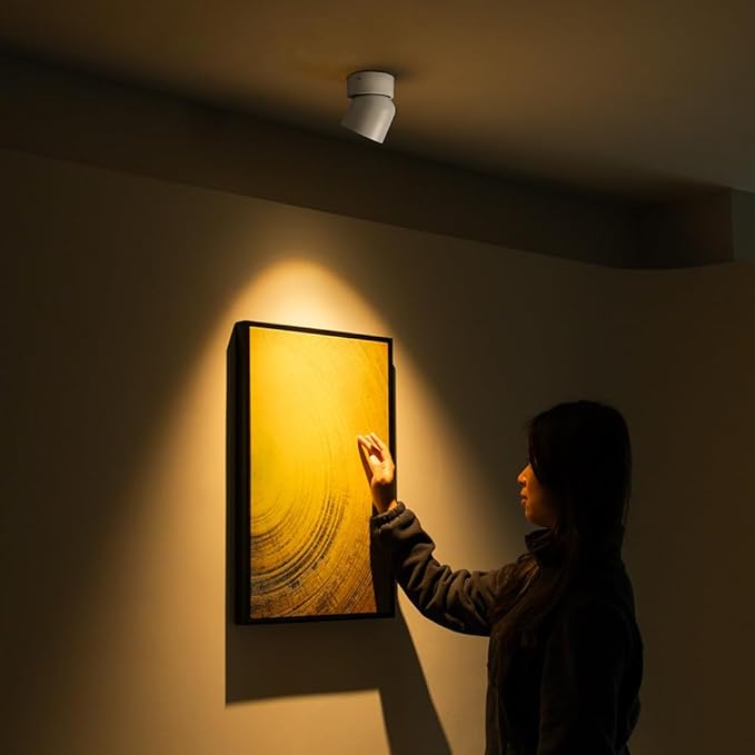 Aisilan LED Indoor White Ceiling Spot Light 9W Surface Mounted Light Fixture with 360° Pivoting Spotlight, Dimmable Warm White 3000K CRI 97+ for Picture Panting Living Room Bedroom Accent Lighting