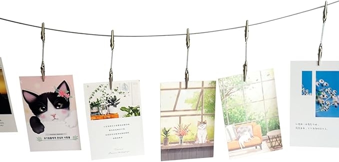 TFu Wall Hanging Photo Display, DIY Picture Photo Frame String with 12 Clips for Hanging Photos Notes and Artworks (Adjustable Alligatory Clip)