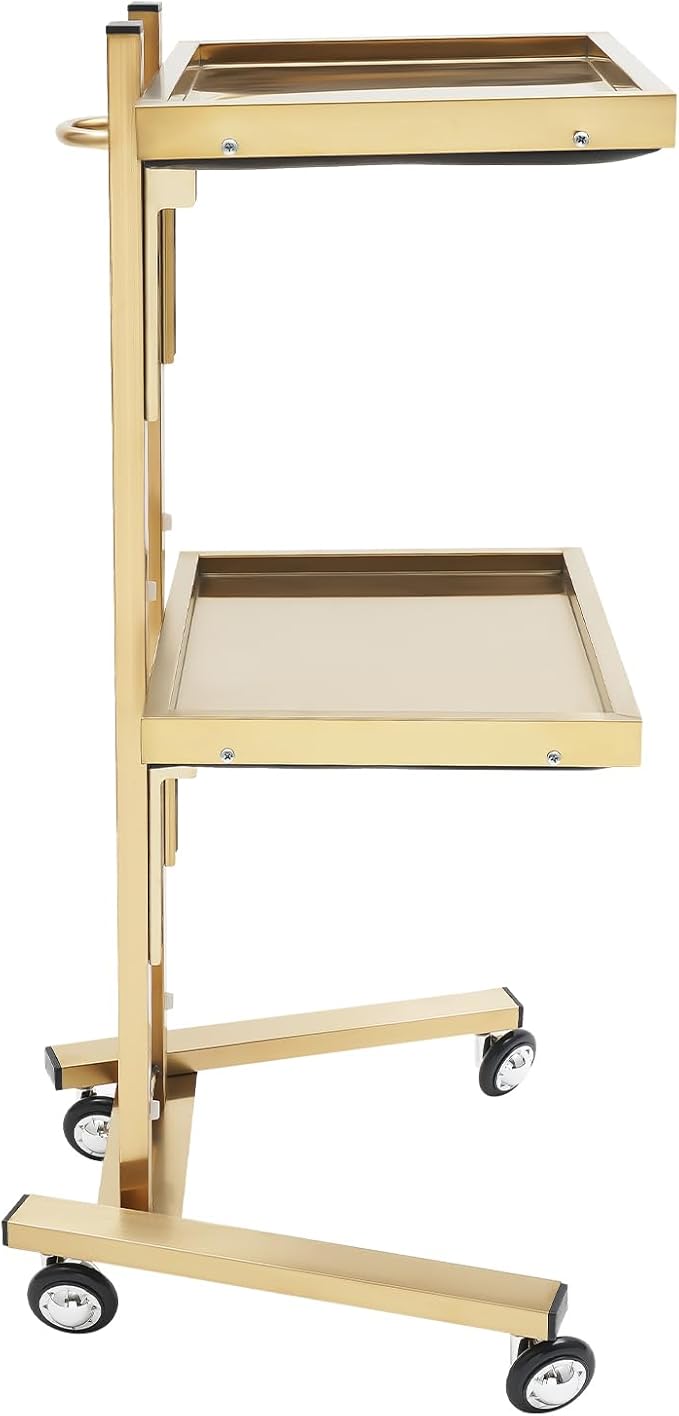 Salon Tray Cart on Wheels, Aluminum Tattoo Tray with Storage Platform, Service Rolling Tray,2-Tier Tray Equipment Service Instrument Storage Tray Accessory for Salon & Spa Use, Black