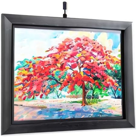Situ Lighting: Cordless and Rechargeable LED Art and Picture Light - Rechargeable Micro Series - 2700K - USA Made
