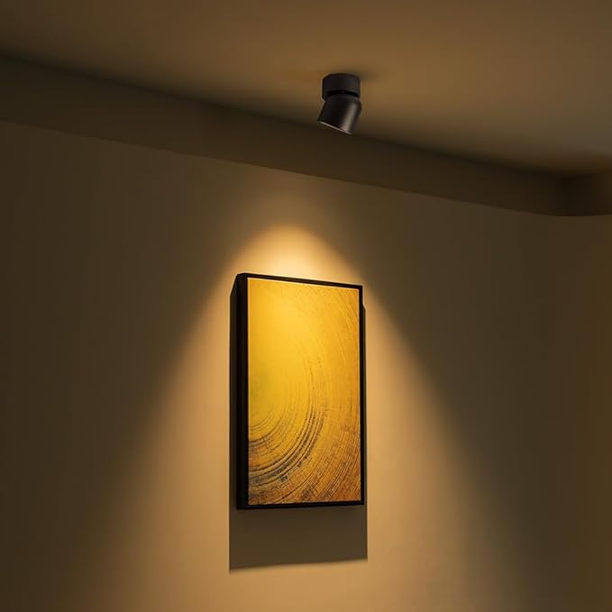 Aisilanled LED Spotlight Indoor, 9W Dimmable Ceiling Spot Lights Mounted Light Fixture, 360° Pivoting Small Directional Lighting for Living Room Bedroom Artwork Accent Lighting, 3000K, CRI 97+