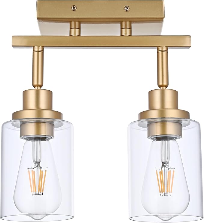 2-Light Track Lighting Fixtures Gold Finish, Multi-Directional Rotating Ceiling Tracking Lights with Clear Glass, Modern Bathroom Wall Vanity Lights Track Lighting Kits for Kitchen Accent Shop