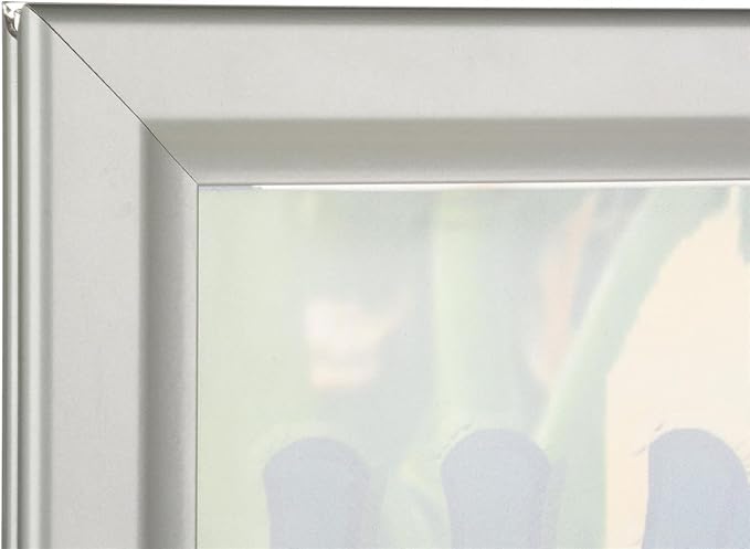 Displays2go 30 x 40 Inch Sidewalk Sign, Waterproof, Snap Frame, Spring Base, Two-Sided, Silver (OWS3040S)