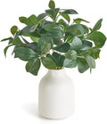 Dahey Fake Plants in Small Ceramic Vase Realistic Artificial Faux Plants Indoor Modern Farmhouse Table Centerpieces for Bathroom Kitchen Shelf Living Room Home Greenery Decor, White