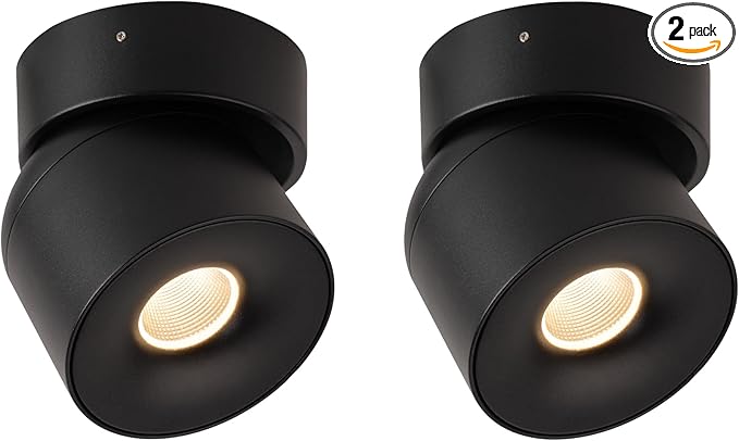 Aisilan Ceiling Spot Lights Indoor 2 Pack, 15W Modern LED Spotlight 350° Directional Accent Lighting, Dimmabel Spotlight Fixtures for Picture Panting Living Room Bedroom Mural,3000K, CRI 97, Black