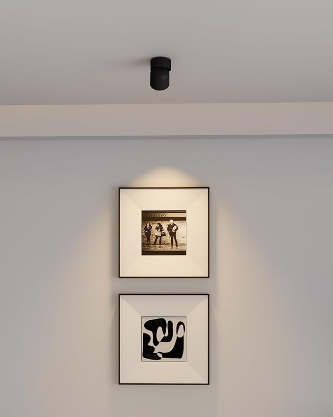Aisilan LED Ceiling Spotlight Indoor 7W Black Directional Accent Light Fixture with 360° Pivoting Spot Light Lamp, Warm White CRI 97+ for Living Room Bedroom Picture Lighting