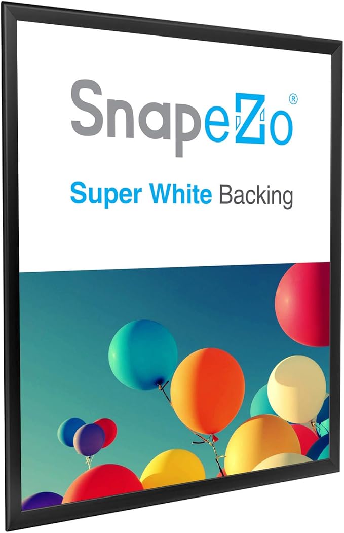 SnapeZo Black 24x37 Snap Frame Professional Series