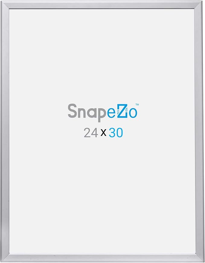 SnapeZo Poster Frame 24x30, Silver, 1.25 Inch Aluminum Profile, Front-Loading Snap Frame, Wall Mounting, Professional Series