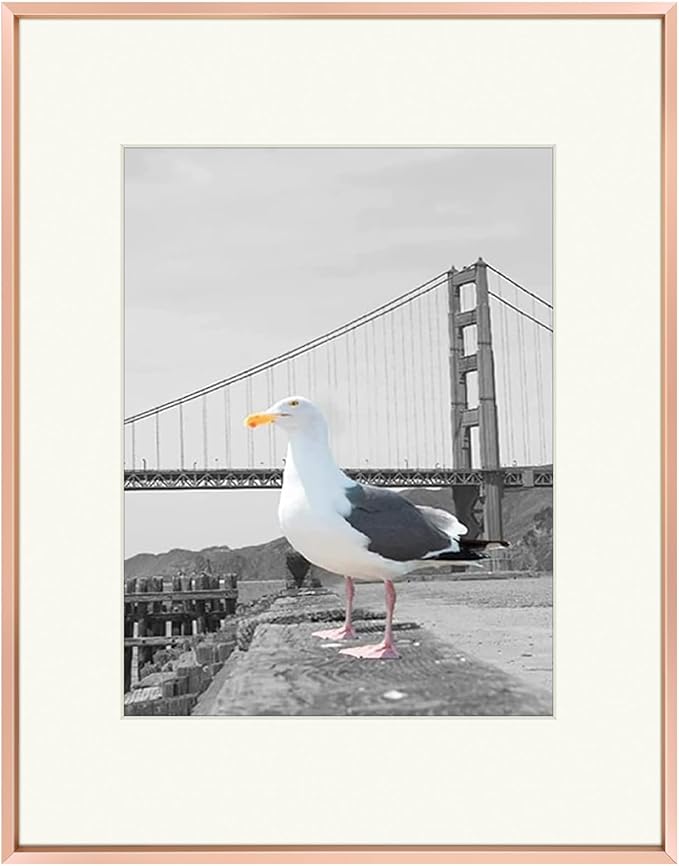 Frametory, 16x20 Metal Picture Frame with Mat for 11x14 Picture & Real Glass, Aluminum Photo Frame Collection (Rose Gold, 1 Pack)