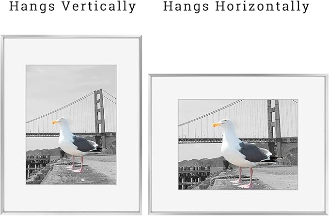 Frametory, 16x20 Metal Picture Frame with Mat for 11x14 Picture & Real Glass, Aluminum Photo Frame Collection (Silver, 1 Pack)