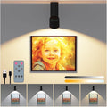 LED Ceiling Picture Lights with 6000mAH Rechargeable Battery Powered, Cordless Painting Wall Lamps Sconces with 4 Brightness&Color Temp,CRI≥95, Indoor Spotlight for Art Display Photo Portraits Gallery