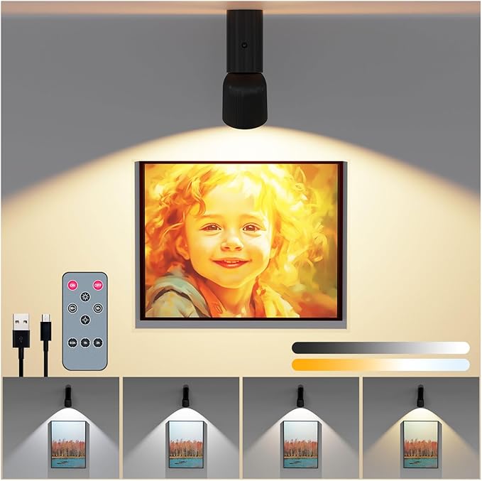 LED Ceiling Picture Lights with 6000mAH Rechargeable Battery Powered, Cordless Painting Wall Lamps Sconces with 4 Brightness&Color Temp,CRI≥95, Indoor Spotlight for Art Display Photo Portraits Gallery