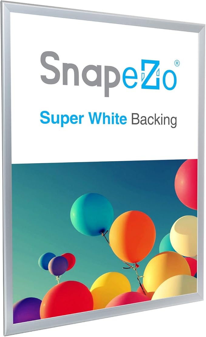 SnapeZo 23.4 x 33.1 Silver Poster Frame, Front-Loading, Wall Mount, Aluminum 1.25" Profile, Professional Series