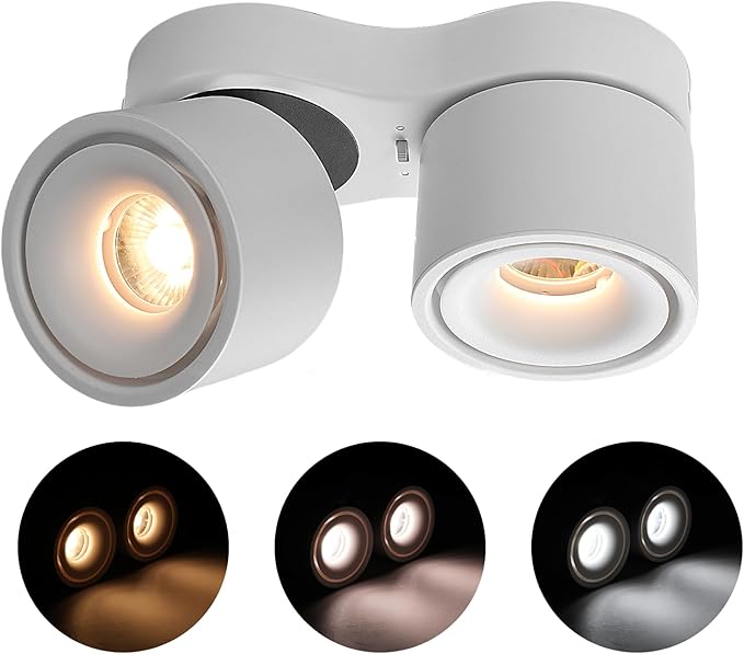 Spot Lights Indoor, Modern Art Display Accent Lights 3000-6000K Selectable, 20W Dual Head LED Spot Lights, CRI 98, 220° Directional, White Ceiling Spotlight for Kitchen, Plant, Living Room