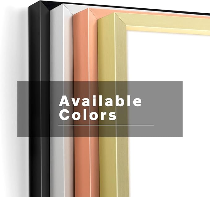 Frametory, 18x24 Metal Picture Frame with Mat for 16x20 Picture & Real Glass, Aluminum Photo Frame Collection (Silver, 1 Pack)