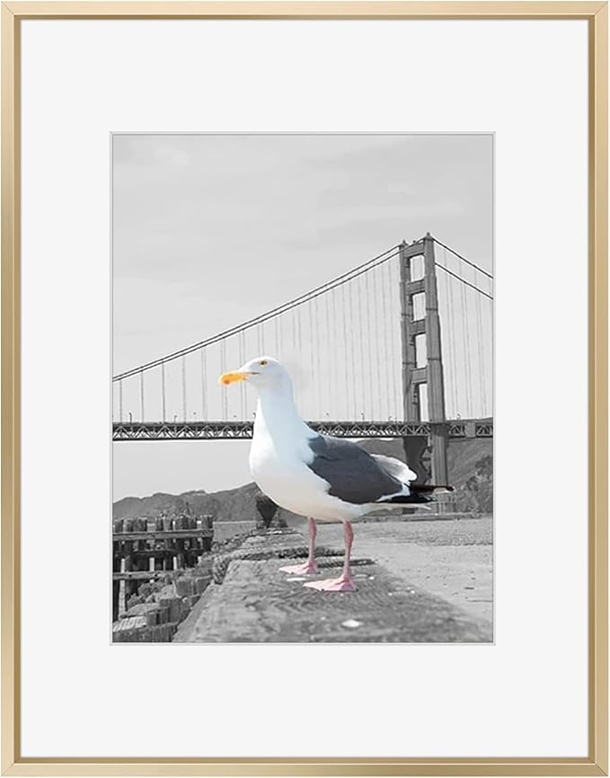 Frametory, 16x20 Metal Picture Frame with Mat for 11x14 Picture & Real Glass, Aluminum Photo Frame Collection (Gold, 1 Pack)