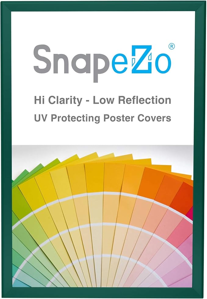 SnapeZo Poster Frame 20x30, Green, 1.25 Inch Aluminum Profile, Front-Loading Snap Frame, Wall Mounting, Professional Series