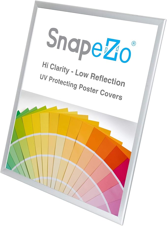 SnapeZo Poster Frame 36x48, Silver, 1.25 Inch Aluminum Profile, Front-Loading Snap Frame, Wall Mounting, Professional Series