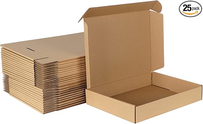 MEBRUDY 12x9x2 Inches Shipping Boxes Pack of 25, Small Corrugated Cardboard Box for Mailing Packing Literature Mailer