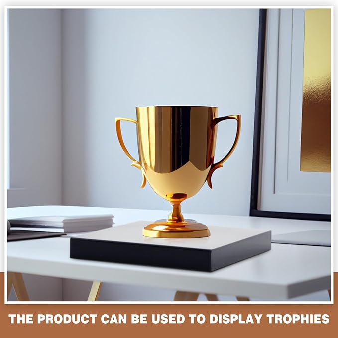 Chunful Black Acrylic Display Box Riser Trophy Base Acrylic Pedestal Stand Block Versatile Trophy Diorama Base and Storage for Photography Props Home Office Decor Showing(12" L X 12" W X 2" H)