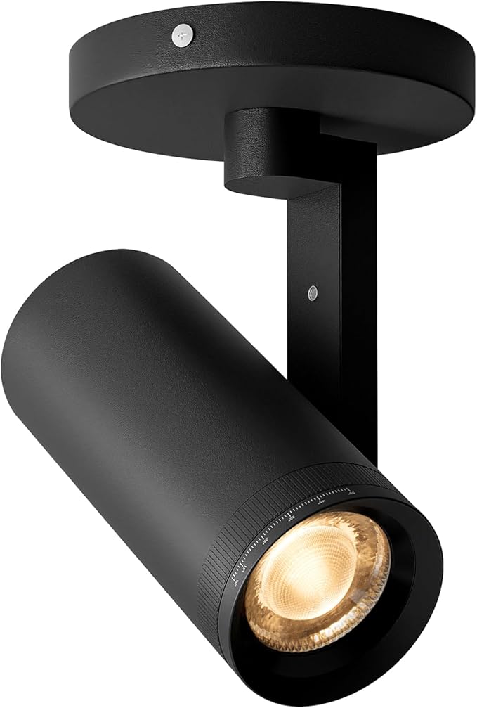 Aisilan Black LED Zoomable Ceiling Spotlight 12W Dimmable Adjustable Beam Angle 10-55° Swivelable Angle CRI 97 Matt Aluminum Directional Accent Lamp for Corridor Mural Living Room, Warm White 3000K