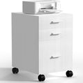 3 Drawer Mobile File Cabinet on Wheels,White fully assembled Rolling Storage Organizer for Letter/A4 Files, Ideal for Office, Home, Classroom Organization,Printer Stand,19" L x 16" W x 22" H