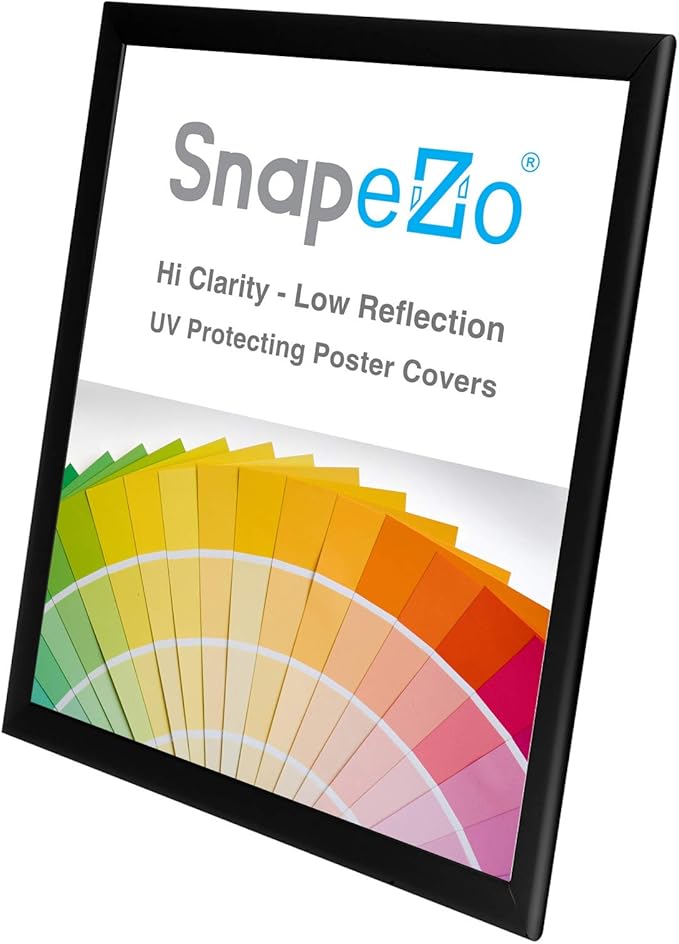 SnapeZo Poster Frame 22x28, Black, 1.25 Inch Aluminum Profile, Front-Loading Snap Frame, Wall Mounting, Professional Series