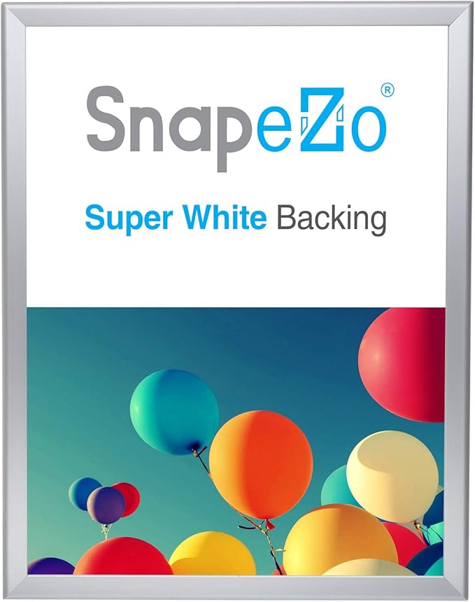 SnapeZo Poster Frame 22x28, Silver, 1.25 Inch Aluminum Profile, Front-Loading Snap Frame, Wall Mounting, Professional Series