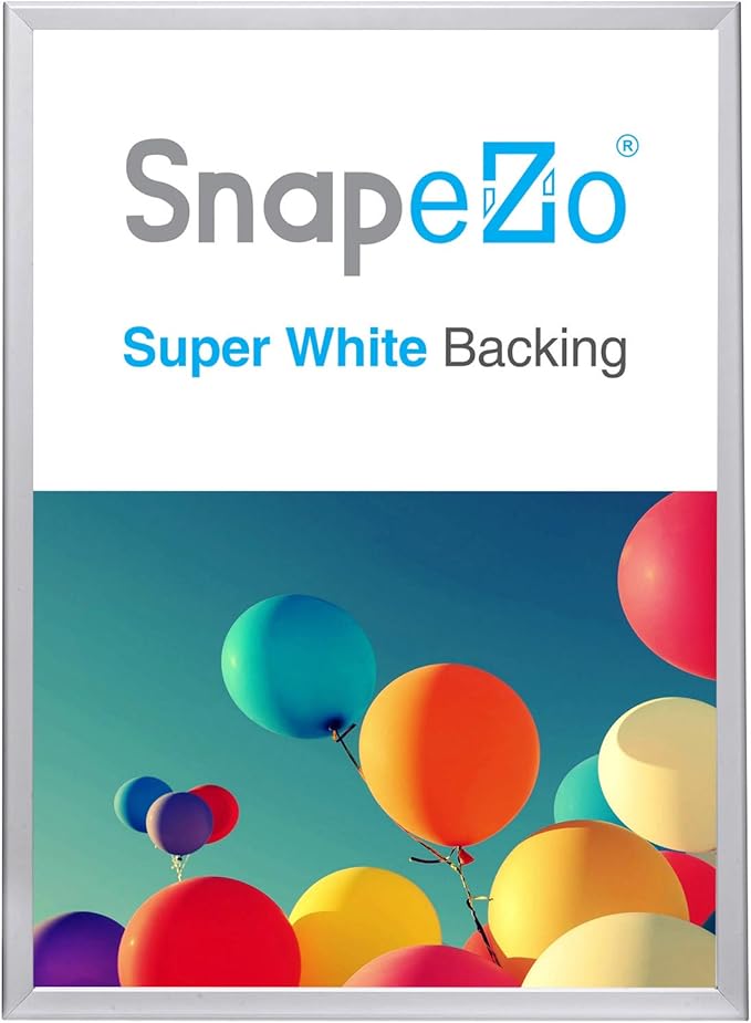 SnapeZo 23.4 x 33.1 Silver Poster Frame, Front-Loading, Wall Mount, Aluminum 1.25" Profile, Professional Series