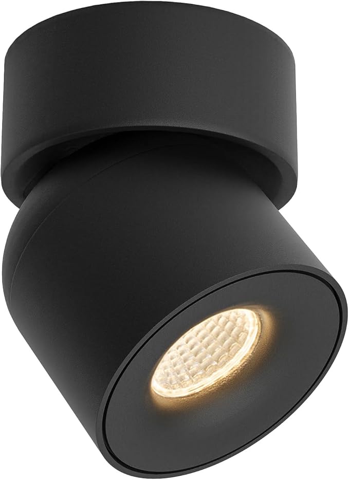 Aisilan Ceiling Spot Lights Indoor, 15W Modern LED Spotlight 350° Directional Accent Lighting, Dimmabel Spotlight Fixtures for Picture Panting Living Room Bedroom Mural,3000K, CRI 97, Black