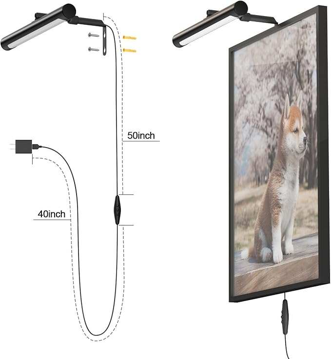 4W Picture Light Plug in, 12" Adjustable LED Art Light with Remote Control, Dimmable Wall Light for Picture Display Dartboard Art Work (Black)