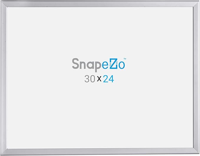 SnapeZo Poster Frame 24x30, Silver, 1.25 Inch Aluminum Profile, Front-Loading Snap Frame, Wall Mounting, Professional Series