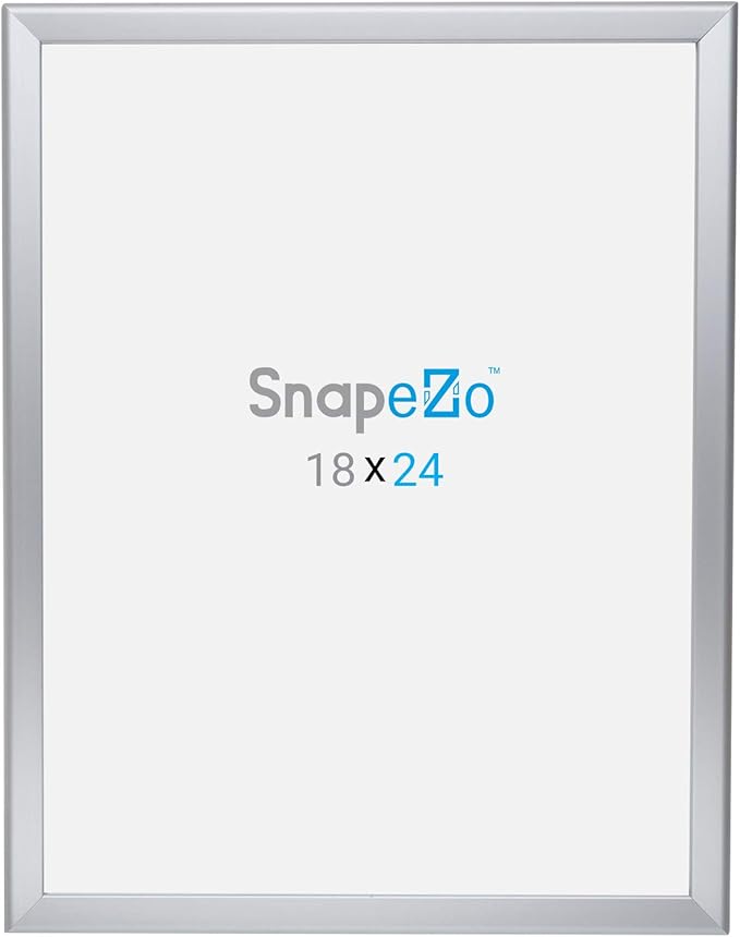 SnapeZo Photo Frame 18x24, Silver, 1.25 Inch Aluminum Profile, Front-Loading Snap Frame, Wall Mounting, Professional Series