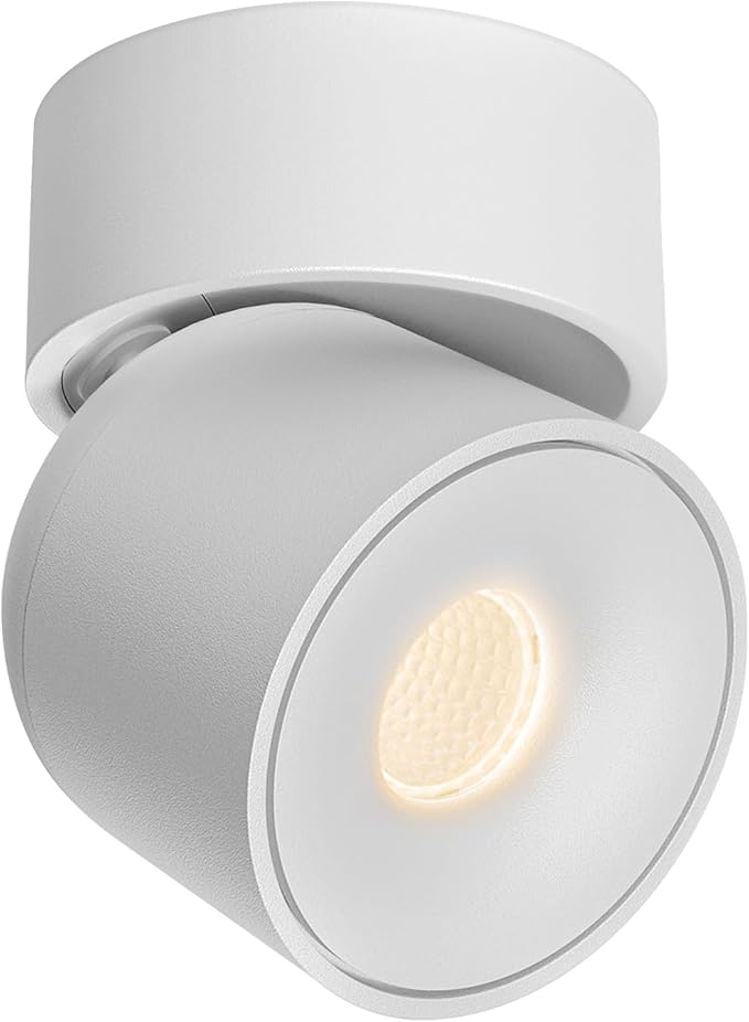 Aisilan LED Indoor White Ceiling Spot Light 9W Surface Mounted Light Fixture with 360° Pivoting Spotlight, Dimmable Warm White 3000K CRI 97+ for Picture Panting Living Room Bedroom Accent Lighting