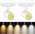 VANoopee 5-Color Dimmable Ceiling Spotlight Flush Mount Adjustable Directional LED Spot Lights Indoor Bright Accent Fixture for Art Picture Living Room - CRI90 24° Flicker Free 10W 800lm White 2 Pack