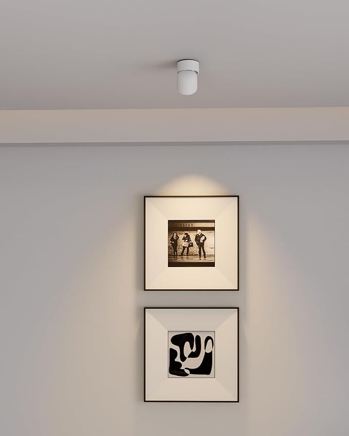 Aisilan LED White Adjustable 360° Pivoting Ceiling Spot Light Indoor, CRI 97, 7W 3000K Warm White Aluminum Directional Spotlight Lamp for Picture Painting Living Room Lighting