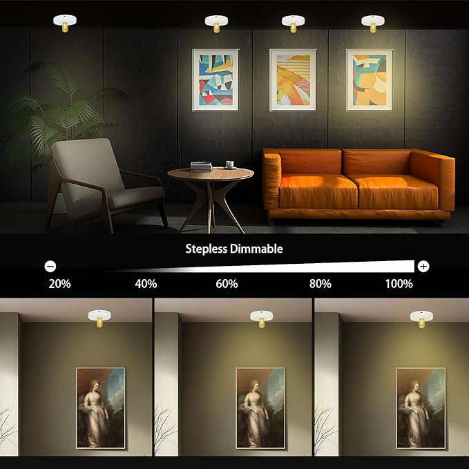 LED Spotlight Indoor,Rechargeable Battery Uplighting Indoor, Mini Accent Spot Lights for Plants Tree Wall Art Display Painting Artwork Portrait Dartboard Closet Gallery Photo-White 2Pack