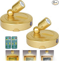 Picture Light Battery Operated, 3 Color Temperatures Picture Light with Remote, Indoor LED Spot Lights for Plants for Wall Frame Dartboard Art Painting Display Accent-Gold