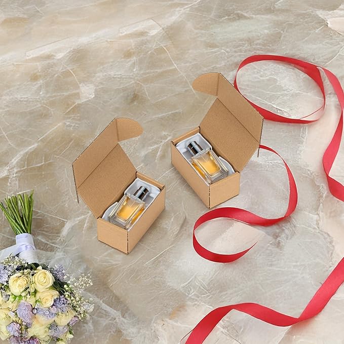 HORLIMER 4.6x2.2x2.2 inches Shipping Boxes Set of 100, Brown Corrugated Cardboard Box Literature Mailer
